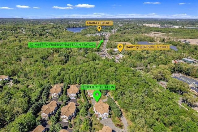 222 Algonquin Unit 222, Ashland, MA 01721 - aerial overview of property's location with a heavily wooded area