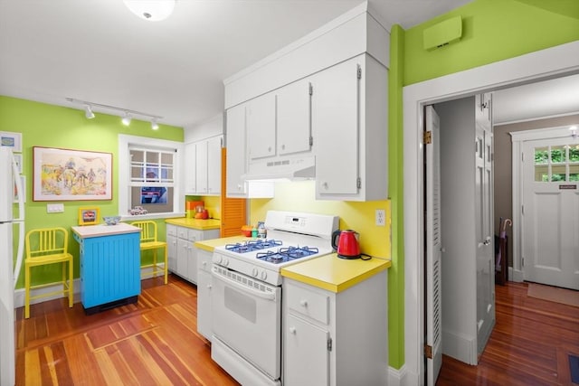 21 Marsh St, Dedham, MA 02026 - kitchen featuring white appliances, under cabinet range hood, rail lighting, wood finished floors, and white cabinets