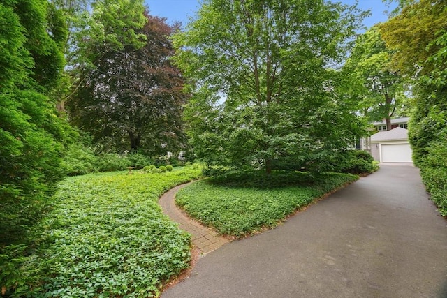 21 Marsh St, Dedham, MA 02026 - view of community