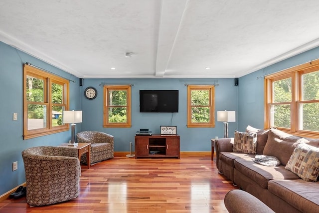 65 Martin Rd, Tewksbury, MA 01876 - living area featuring light wood-style floors, recessed lighting, crown molding, and beamed ceiling