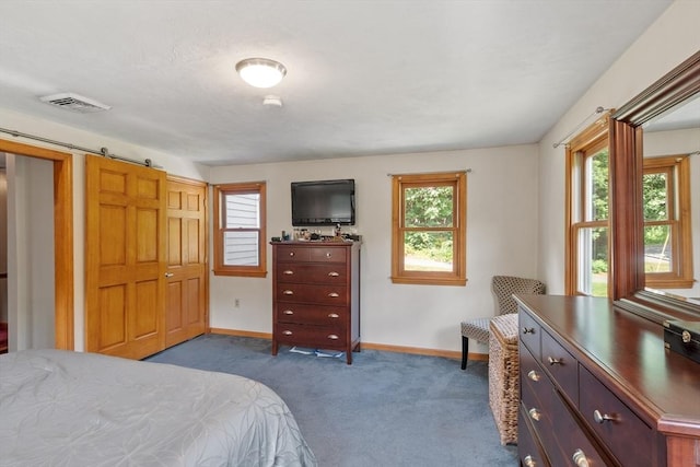 65 Martin Rd, Tewksbury, MA 01876 - bedroom with dark carpet and a barn door