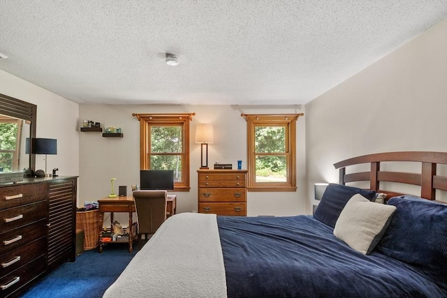 65 Martin Rd, Tewksbury, MA 01876 - bedroom with dark carpet, multiple windows, and a textured ceiling