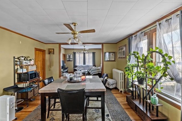 dining room featuring radiator heating unit, crown molding, ceiling fan, and wood finished floors