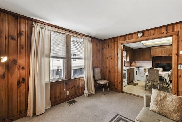 living area with wooden walls, light carpet, washer / dryer, and baseboards