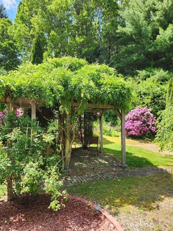 113 Sparrow Rd, Stoughton, MA 02072 - view of grassy yard