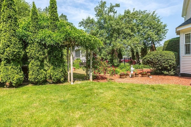 113 Sparrow Rd, Stoughton, MA 02072 - view of grassy yard