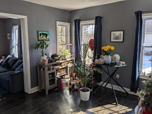 interior space with baseboards and wood finished floors