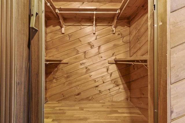 210 Plain Dr, Stoughton, MA 02072 - view of walk in closet