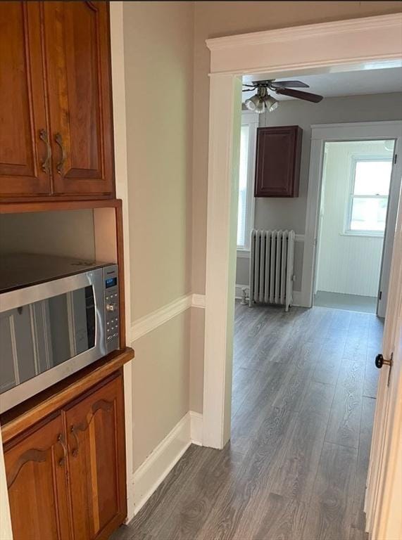 39 Barnard Rd, Worcester, MA 01605 - hall with radiator heating unit and dark wood finished floors