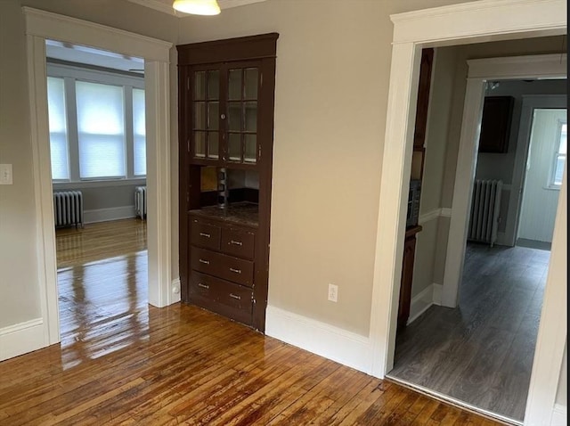 39 Barnard Rd, Worcester, MA 01605 - corridor with radiator heating unit, dark wood finished floors, and radiator