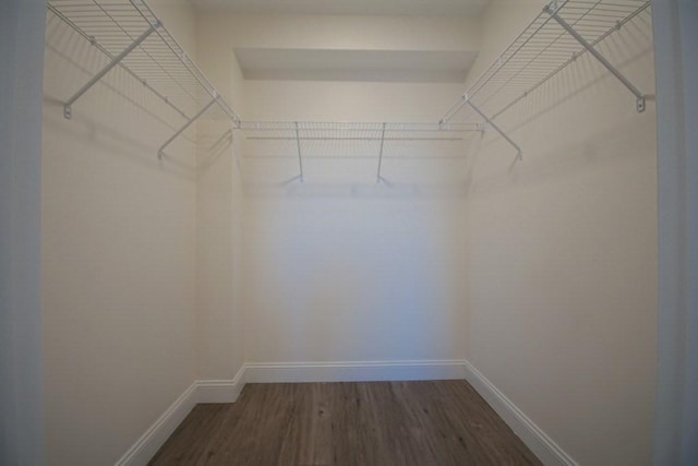 walk in closet featuring wood finished floors