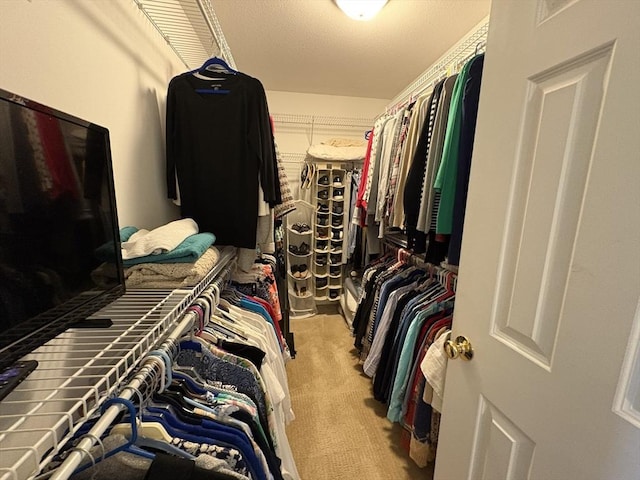 spacious closet featuring light carpet