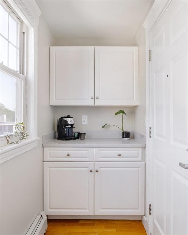 42 Lourdes Ave Unit 3, Boston, MA 02130 - bar area with a baseboard heating unit and light wood finished floors
