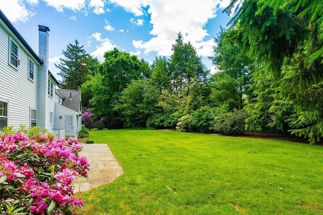 23 Ascenta Ter, Newton, MA 02465 - view of green lawn featuring a patio