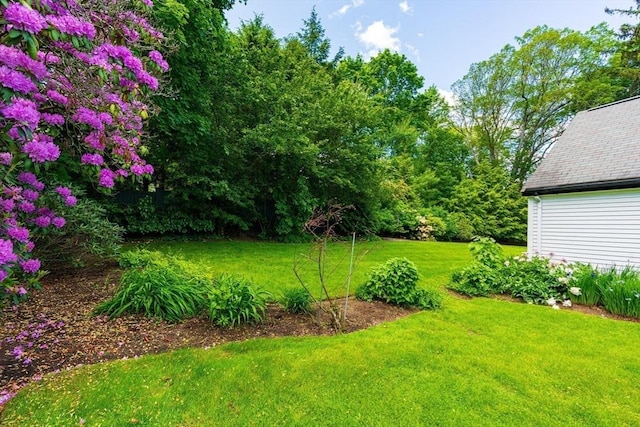 23 Ascenta Ter, Newton, MA 02465 - view of grassy yard