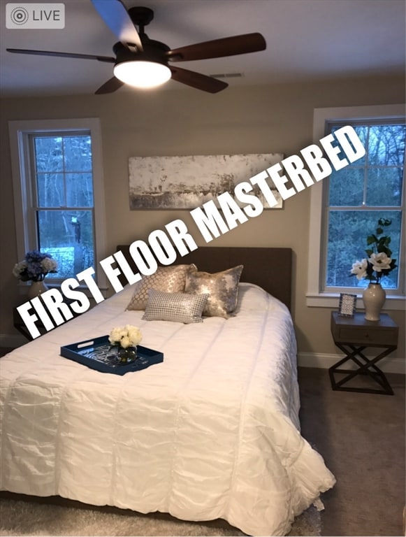 bedroom featuring ceiling fan, multiple windows, and dark colored carpet