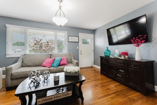 11 Ann Ave, Dartmouth, MA 02747 - living room featuring light wood finished floors