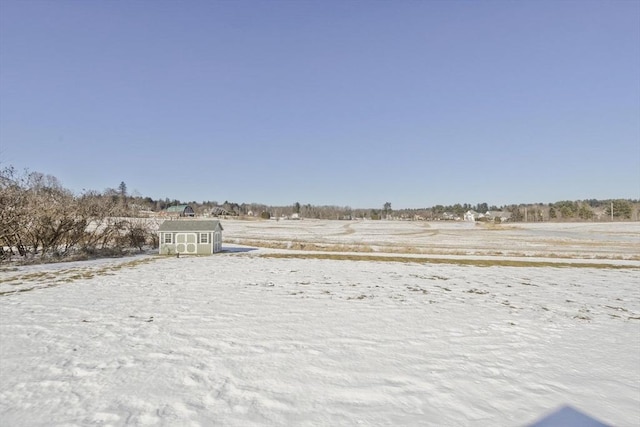 yard covered in snow with a shed and an outbuilding