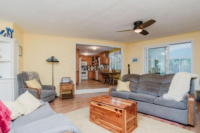 living room with ceiling fan and light wood-type flooring