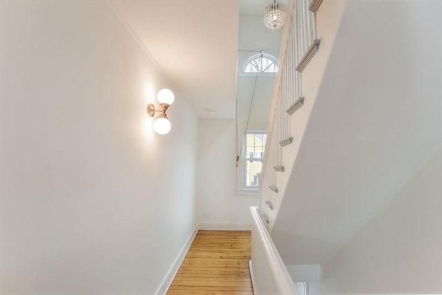 staircase with baseboards and wood finished floors