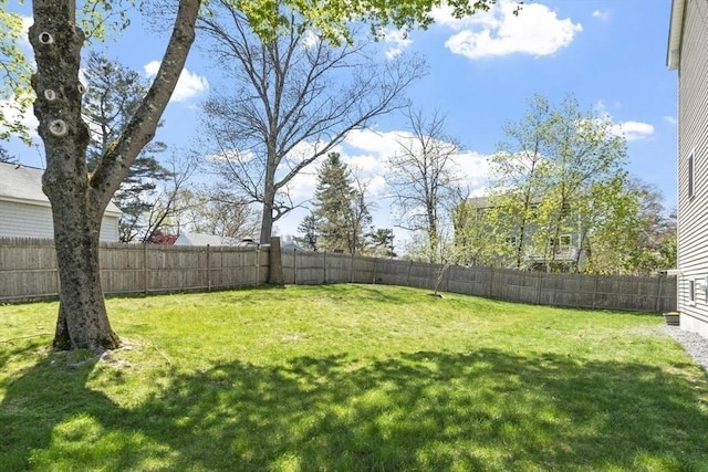 view of yard featuring a fenced backyard