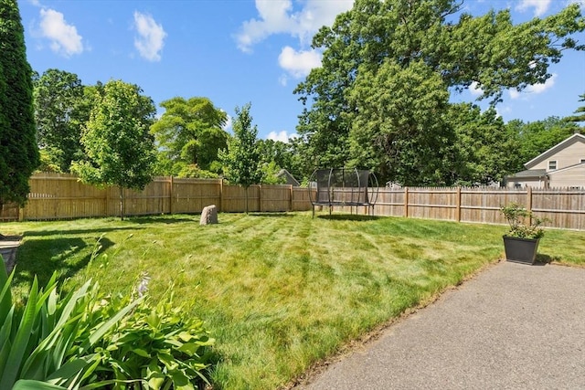 69 Kame St, Brockton, MA 02302 - fenced backyard featuring a trampoline