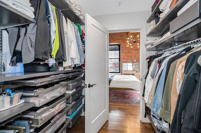 walk in closet with wood finished floors
