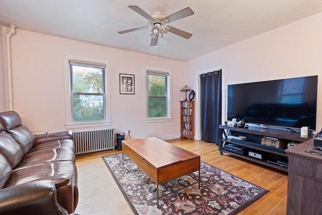 living room featuring radiator heating unit, light wood-type flooring, and ceiling fan