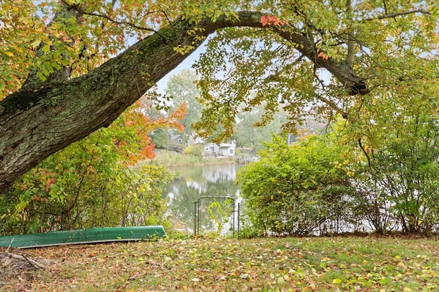 view of yard featuring a water view