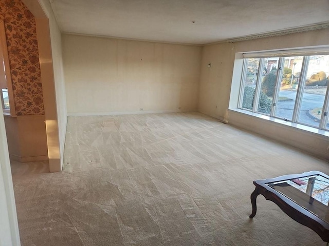 carpeted spare room featuring ornamental molding