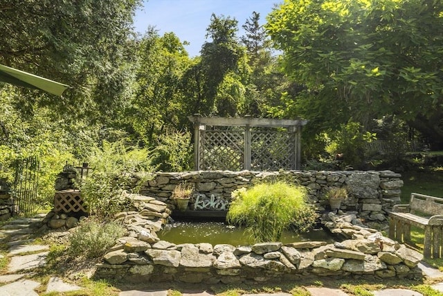 view of yard featuring a small pond