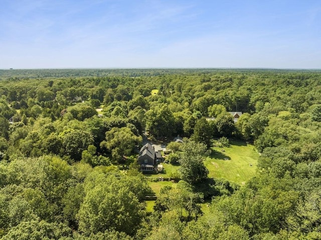 aerial view of a forest