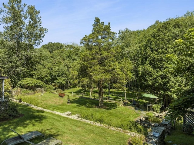 view of green lawn