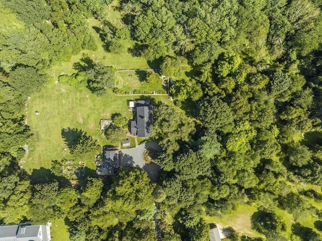 drone / aerial view