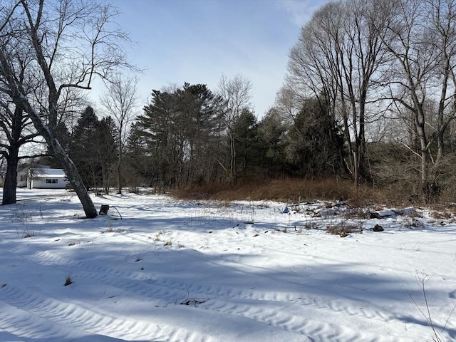 view of yard layered in snow