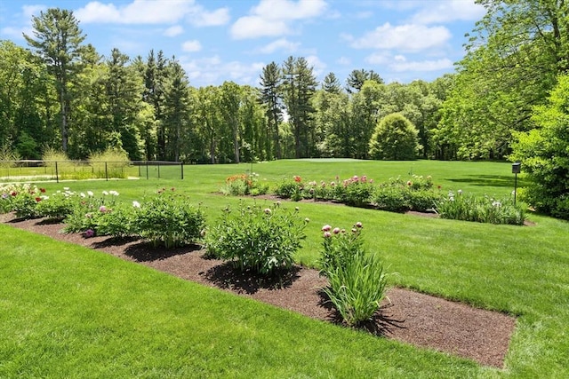 100 Parmenter Rd, Framingham, MA 01701 - view of yard