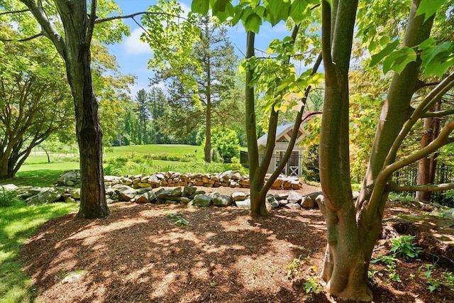 100 Parmenter Rd, Framingham, MA 01701 - view of yard