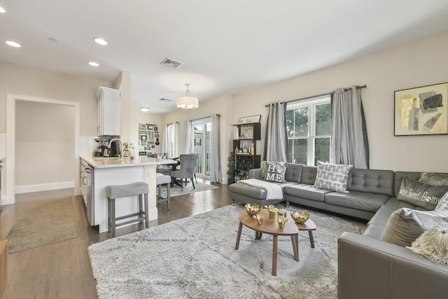 living room featuring sink and dark wood-type flooring