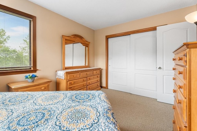 25 Ash Ln Unit 25, Agawam, MA 01001 - bedroom with light carpet and a closet