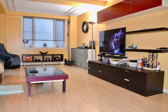 living room featuring wood finished floors