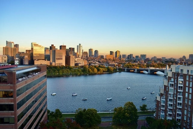 water view with a skyline view and a notable bridge