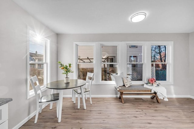 interior space with a wealth of natural light and light wood-type flooring