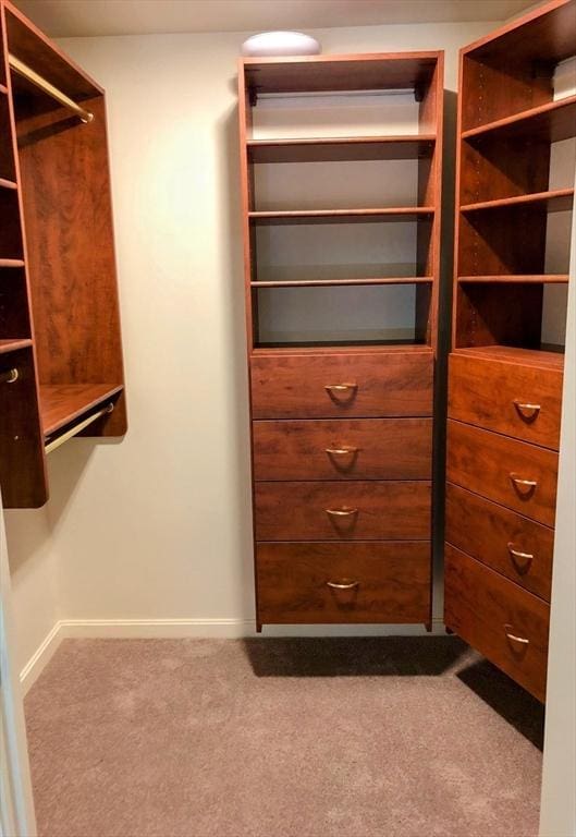 spacious closet with carpet flooring