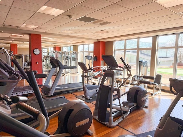 workout area featuring wood finished floors and a paneled ceiling