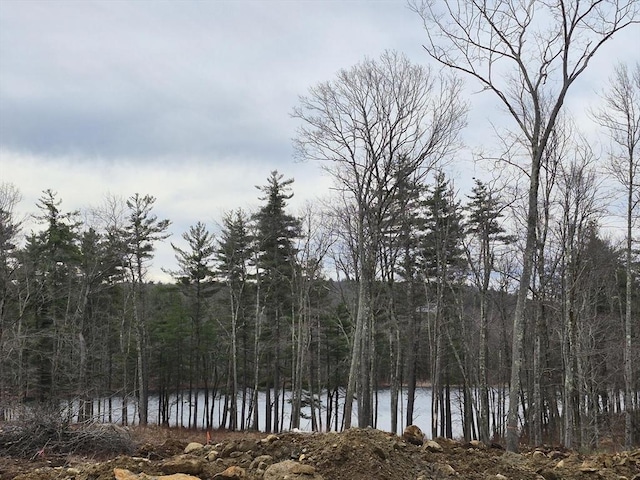 LOT3 Athol Rd, Phillipston, MA 01331 - view of tree filled area featuring a water view