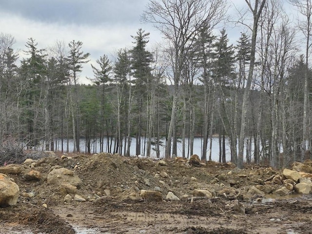 LOT3 Athol Rd, Phillipston, MA 01331 - water view with a heavily wooded area