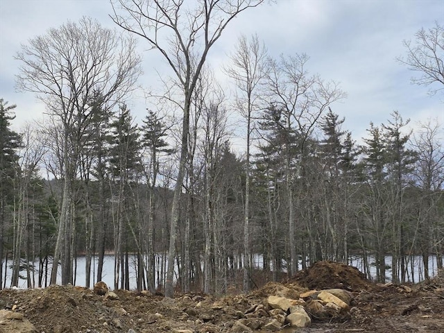 LOT3 Athol Rd, Phillipston, MA 01331 - water view featuring a heavily wooded area