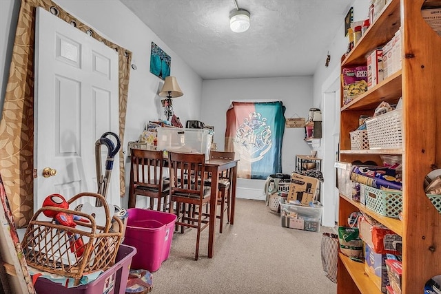 dining area featuring carpet