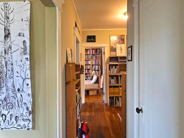 5 Crawford St Unit 9, Cambridge, MA 02139 - hall with dark wood-style flooring and crown molding