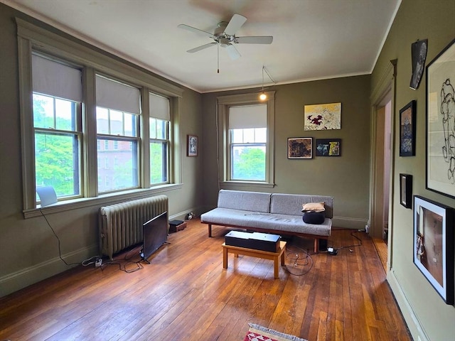 5 Crawford St Unit 9, Cambridge, MA 02139 - living area featuring radiator heating unit, healthy amount of natural light, hardwood / wood-style flooring, ceiling fan, and ornamental molding